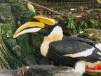 حديقة الطيور - كوالالمبور - ماليزيا